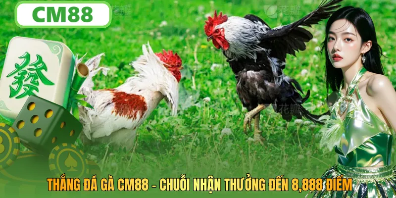 Thắng Đá Gà CM88 – Chuỗi Nhận Thưởng Đến 8,888 Điểm