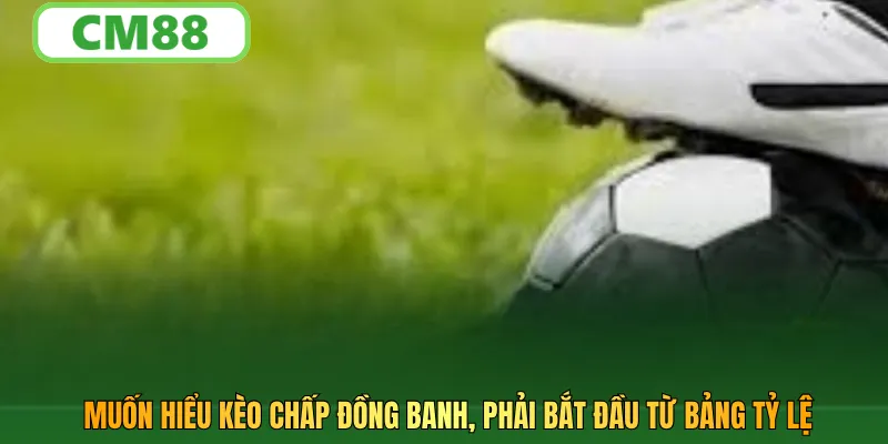 Muốn hiểu kèo chấp đồng banh, phải bắt đầu từ bảng tỷ lệ