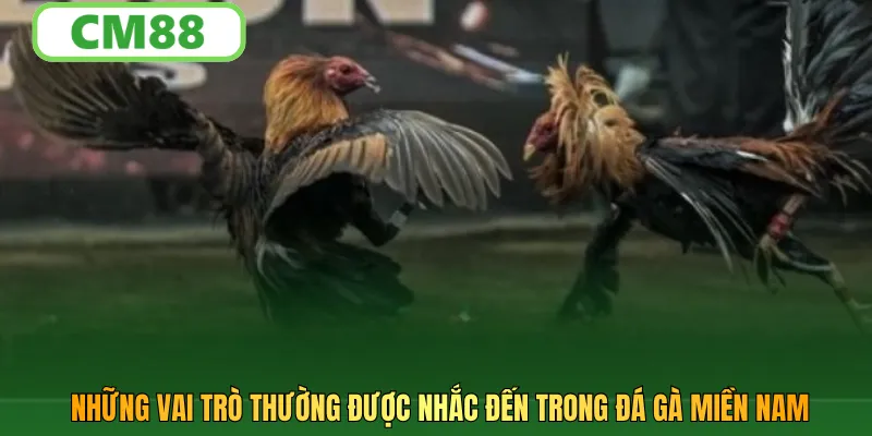 Những vai trò thường được nhắc đến trong đá gà miền nam